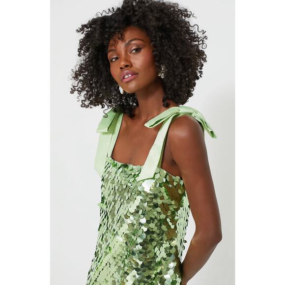 Tuckernuck Mint Chip Roxy Sequin Midi Dress - Picture 6 of 9